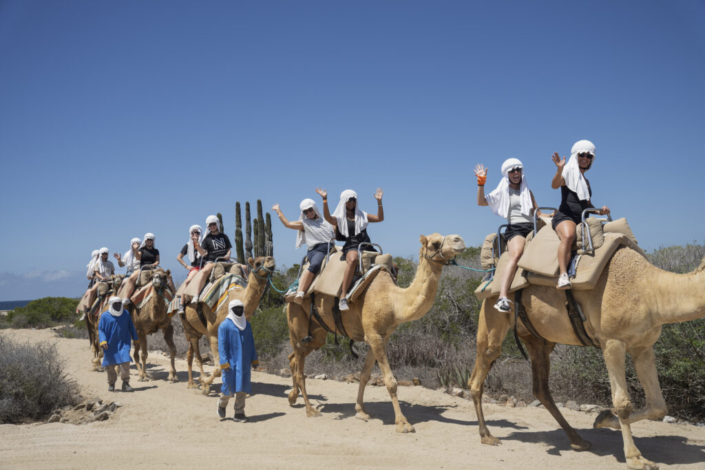 Attendees on a group incentive travel trip ride camels and wave at the camera