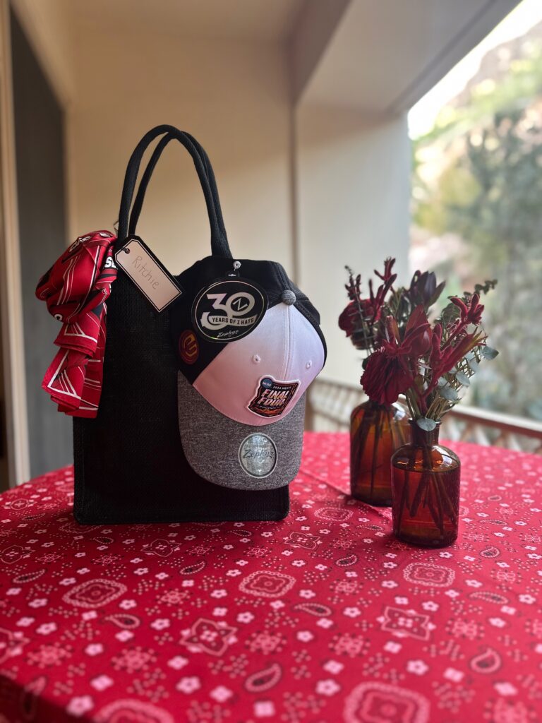 Scarf, hat, and purse gifted with the purse as the gift bag