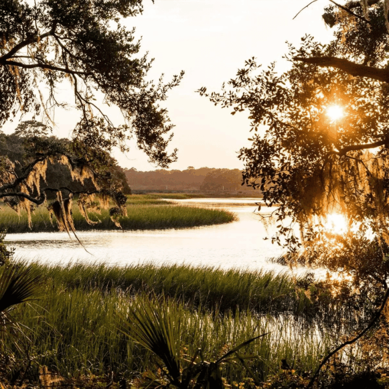 In the Buyer’s Eye — Future Focus