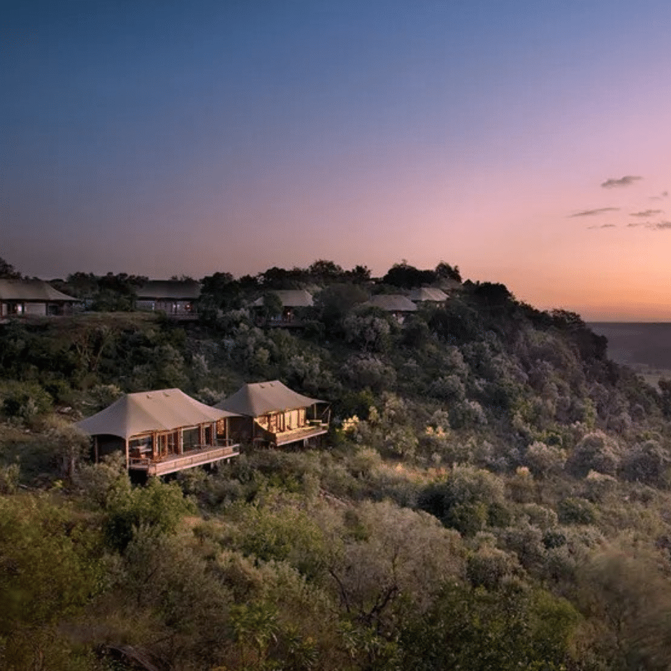 In the Buyer’s Eye — A Walk on the Wild Side